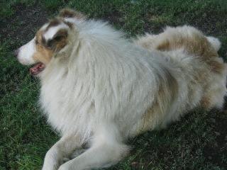 Riley
